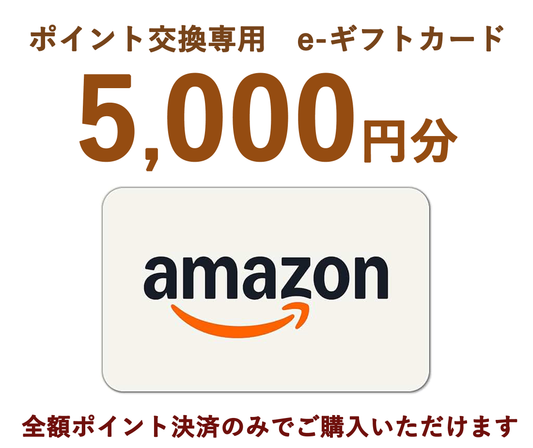 ポイント支払い専用AMAZON e-ギフトカード（お弁当との同時購入不可）